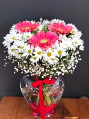 Vazoda Papatyalı Gerbera