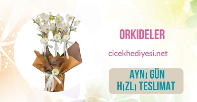 Öneçıkan Ürün