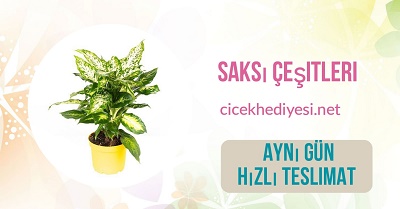 Öneçıkan Ürün